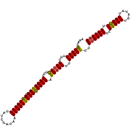 secondary structure