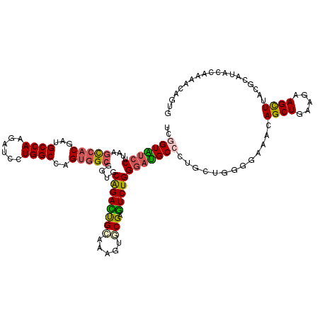 secondary structure