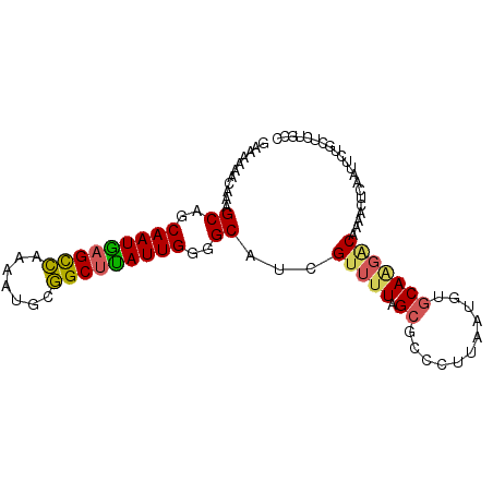 secondary structure