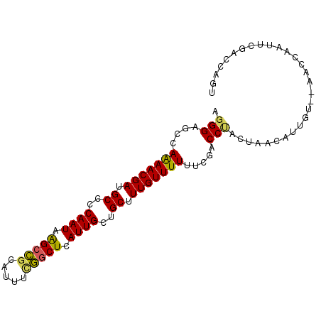 secondary structure