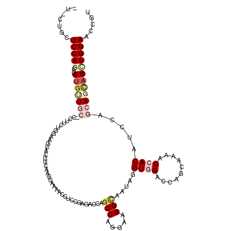 secondary structure