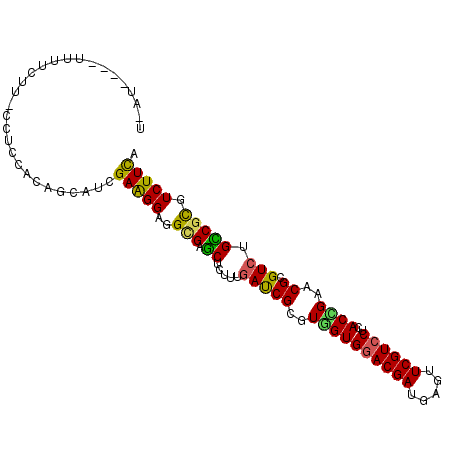 secondary structure