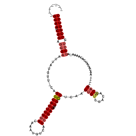 secondary structure