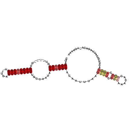 secondary structure