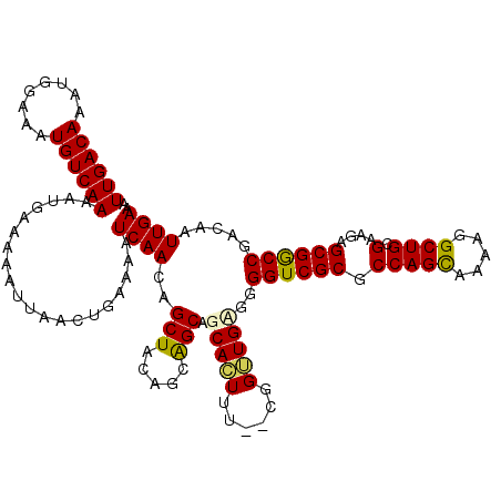 secondary structure