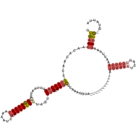 secondary structure