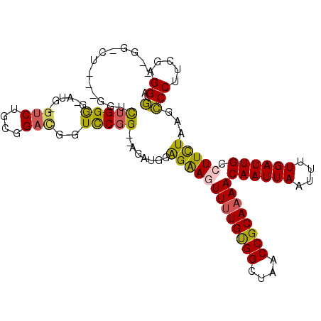 secondary structure