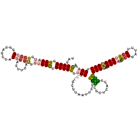 secondary structure