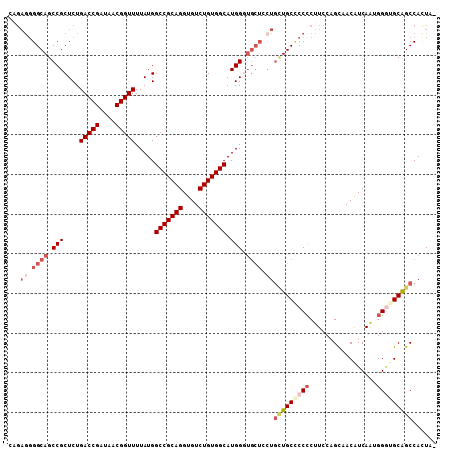 dotplot