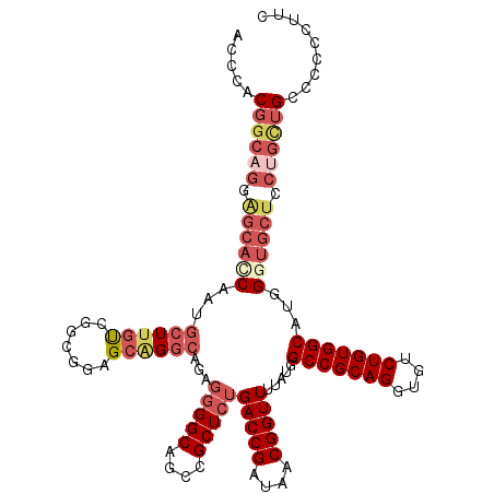 secondary structure