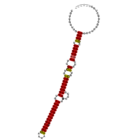 secondary structure