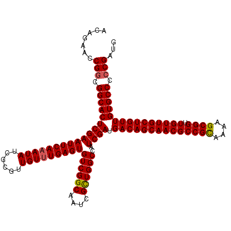 secondary structure