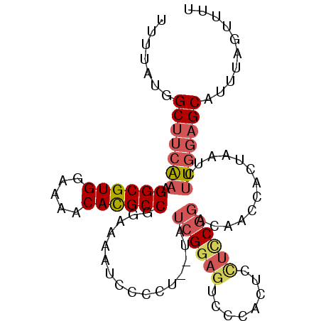 secondary structure