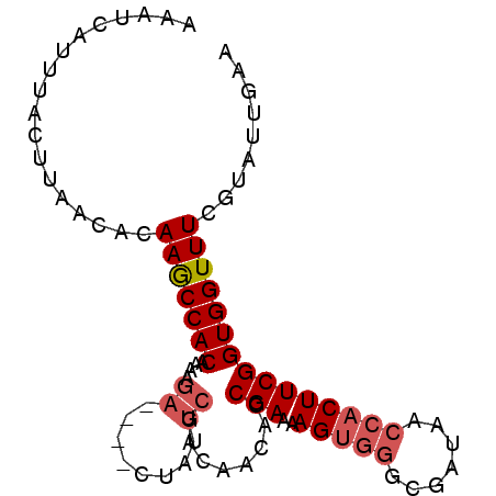 secondary structure