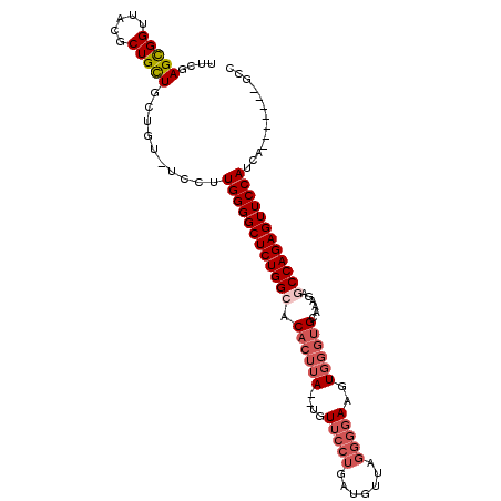 secondary structure