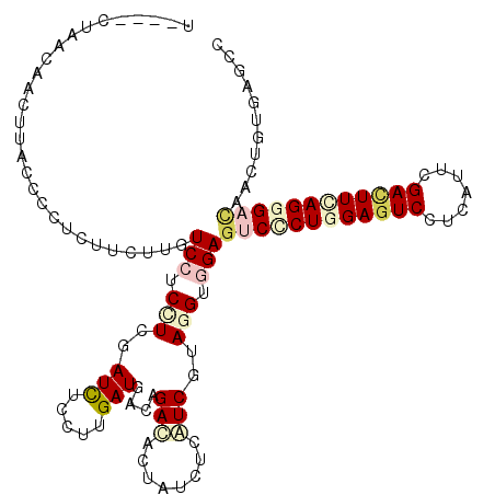 secondary structure