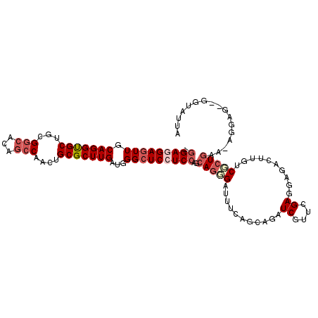 secondary structure