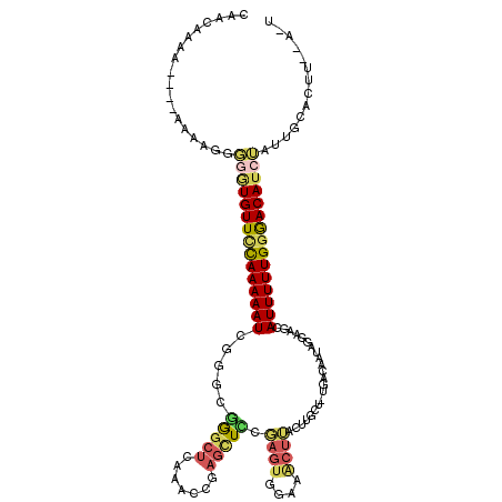secondary structure