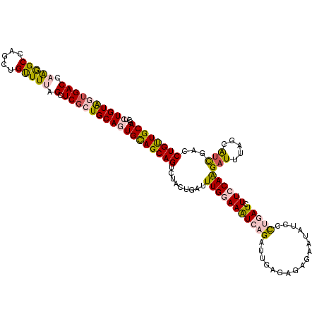 secondary structure