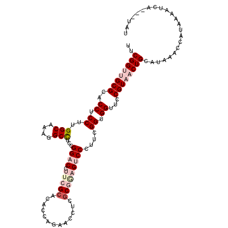 secondary structure