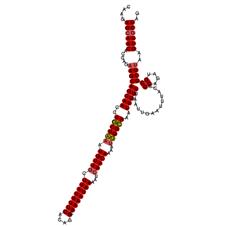 secondary structure