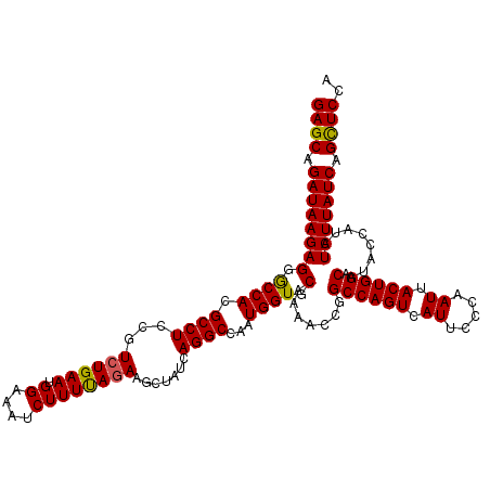 secondary structure