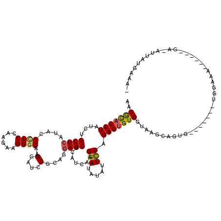 secondary structure