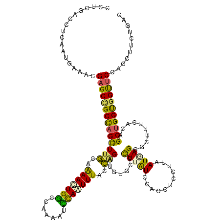 secondary structure