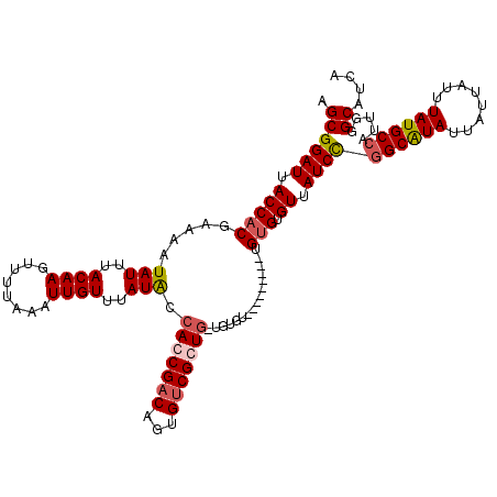 secondary structure