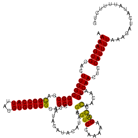 secondary structure