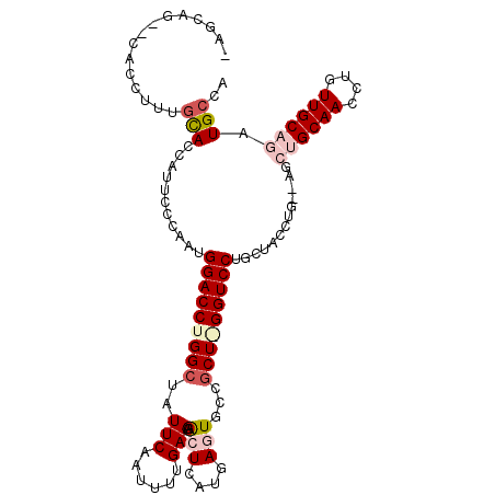 secondary structure