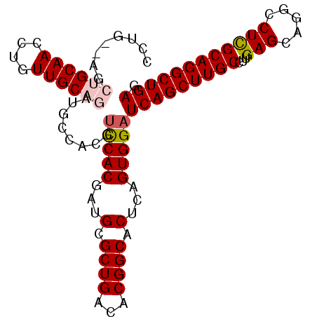 secondary structure