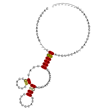 secondary structure