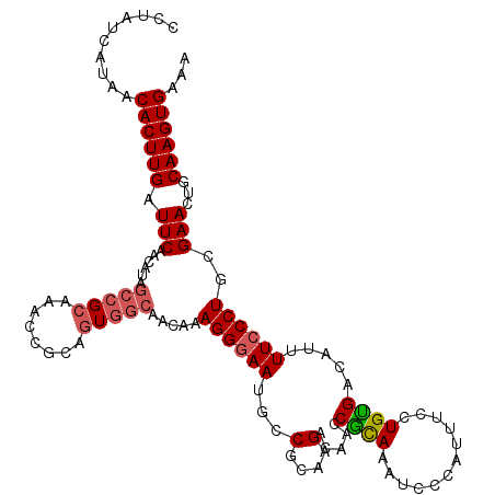 secondary structure