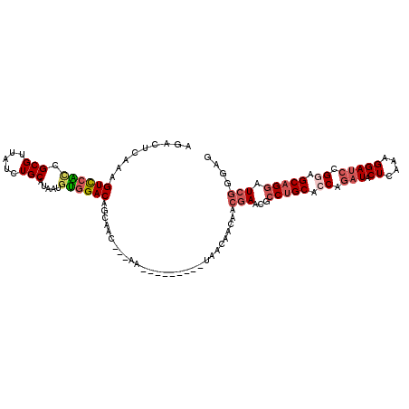 secondary structure
