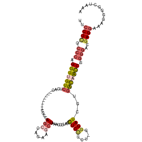 secondary structure