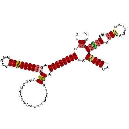 secondary structure