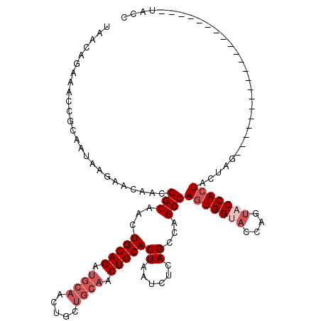 secondary structure