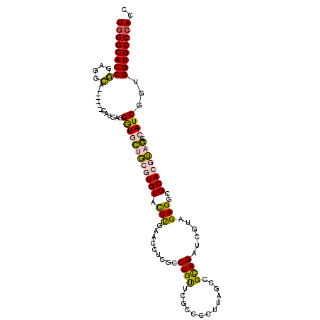 secondary structure