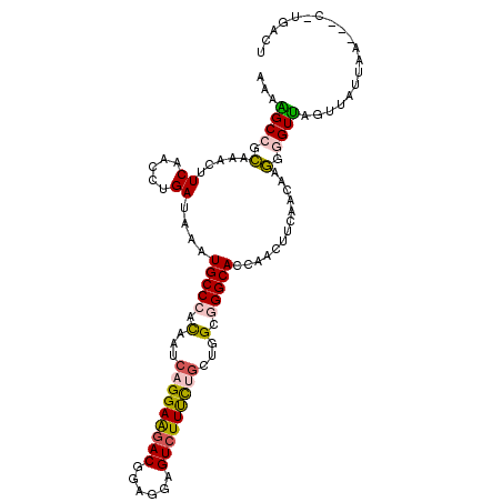 secondary structure