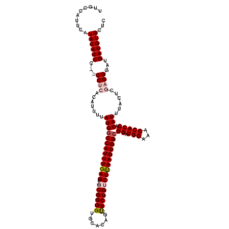 secondary structure