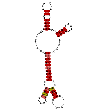 secondary structure