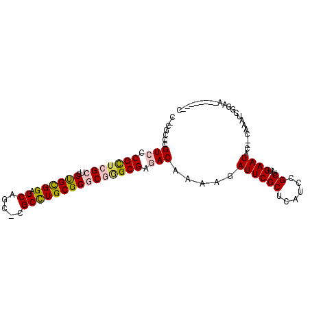 secondary structure