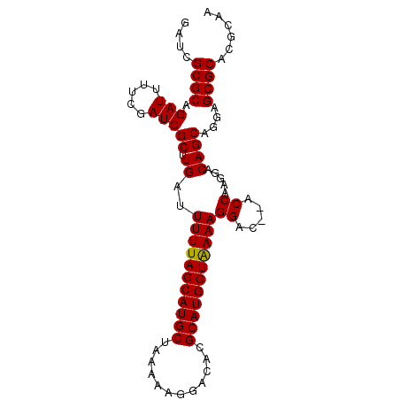 secondary structure
