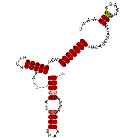 secondary structure