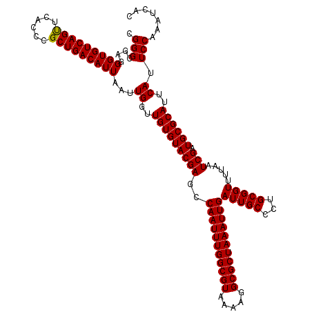 secondary structure