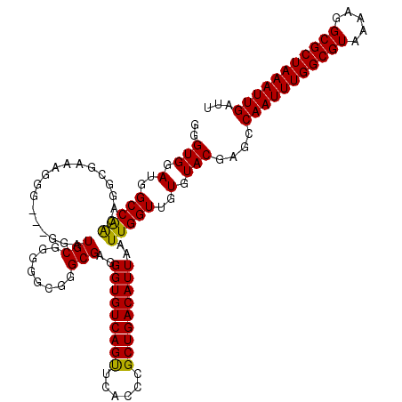secondary structure