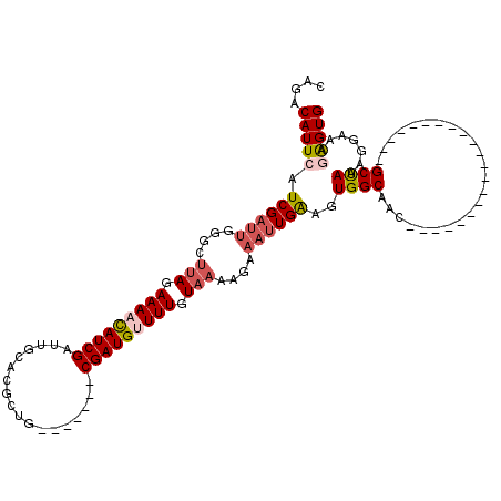 secondary structure