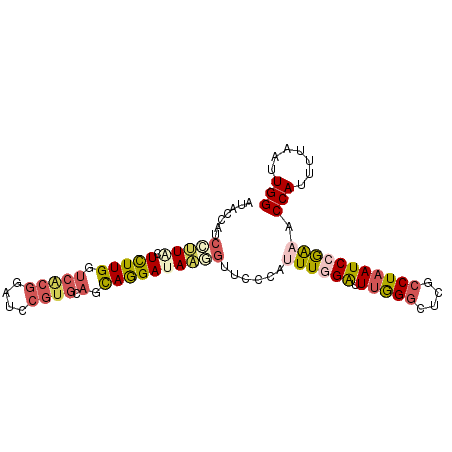 secondary structure