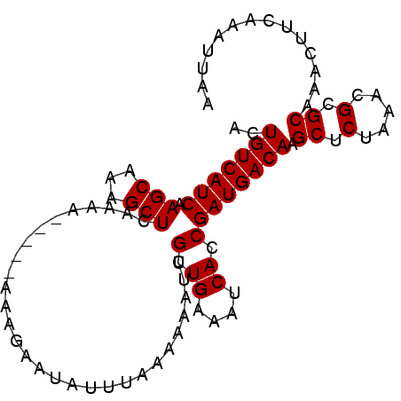 secondary structure